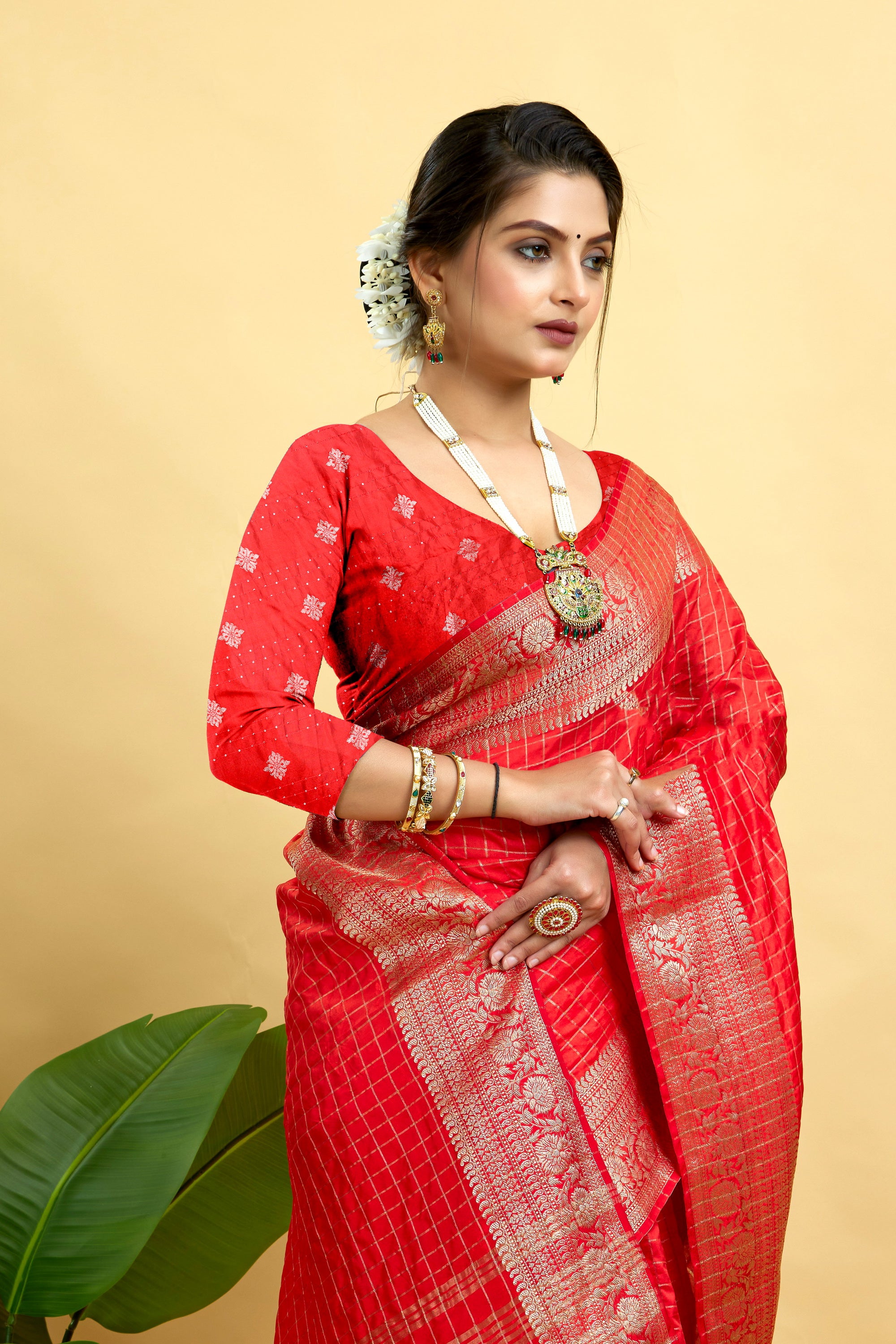 Red Woven Jacquard Cotton Silk Saree