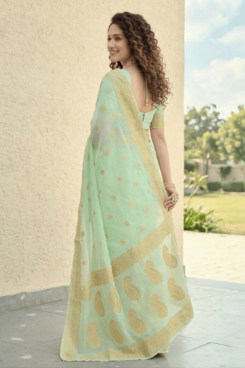 Mint Soft Cotton Silk Saree