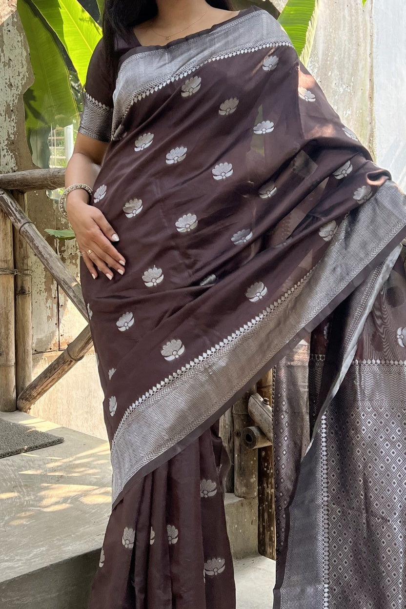 Brown Silk Blend Saree