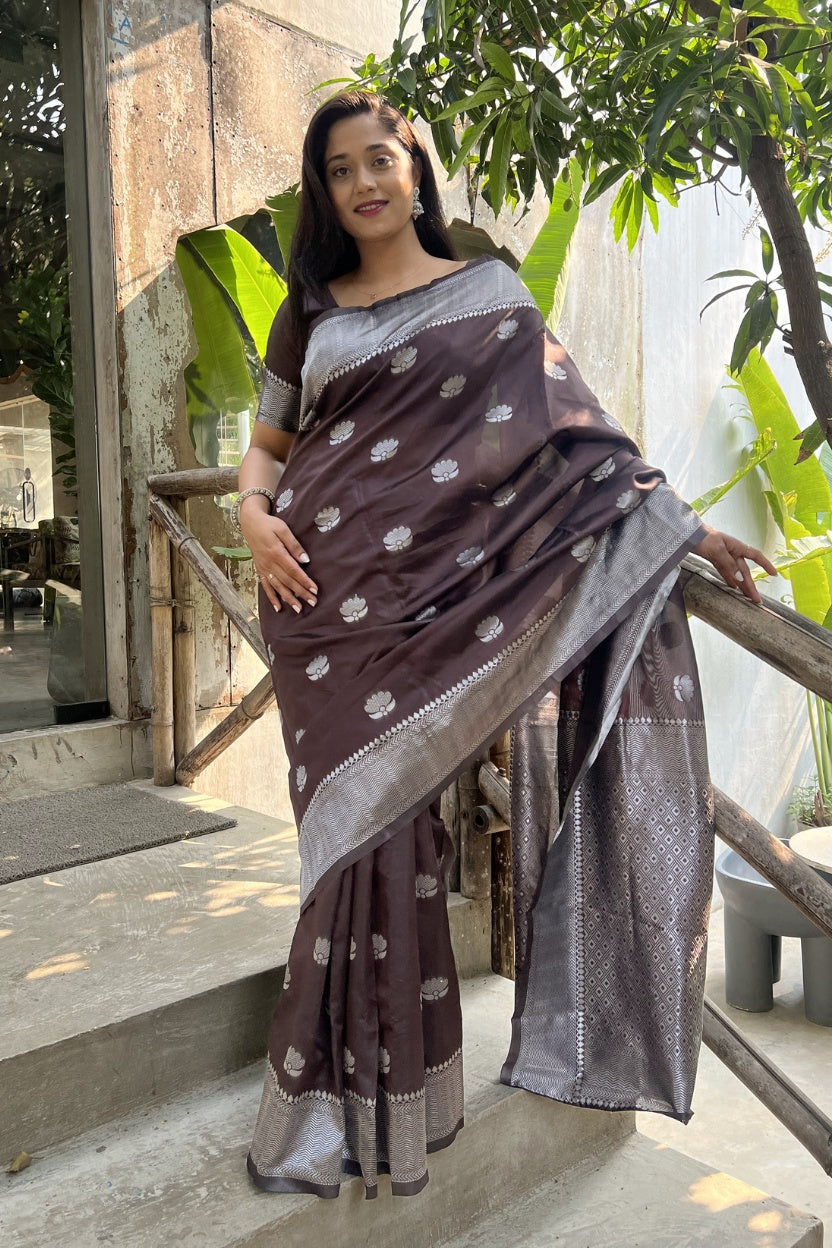 Brown Silk Blend Saree