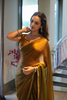 Golden Jimmy Choo Silk Saree