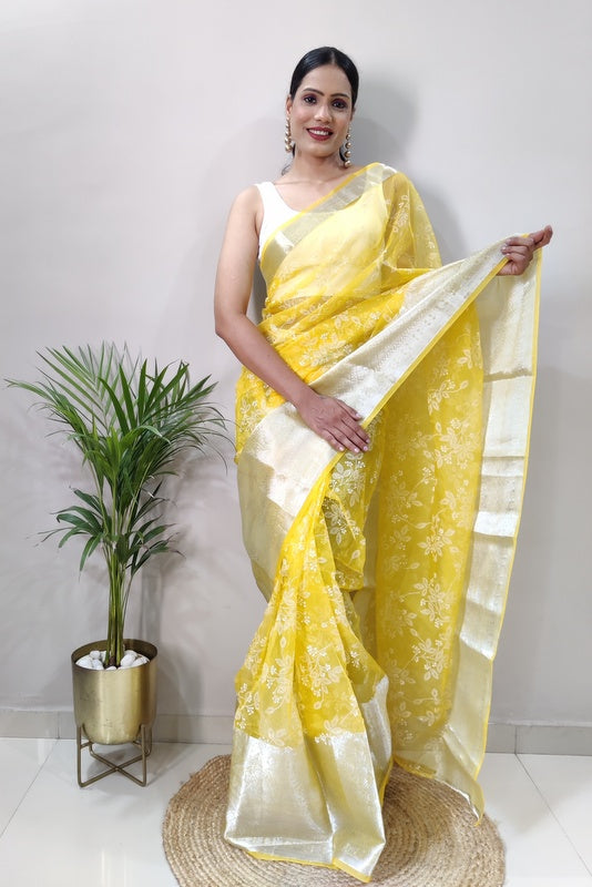 Organza Saree