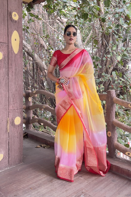Organza Saree