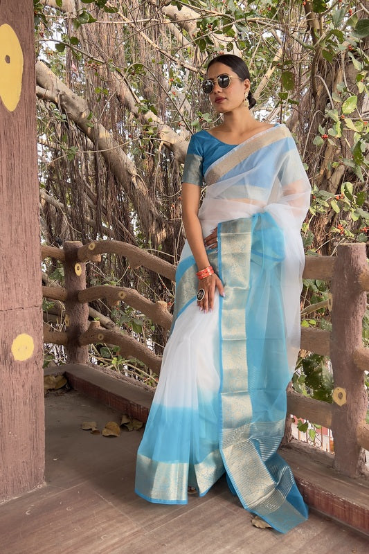Organza Saree