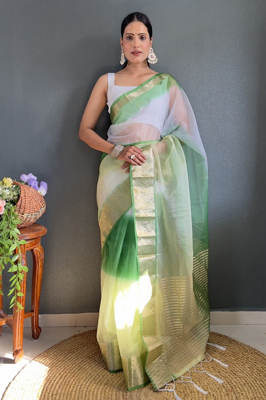 Organza Saree