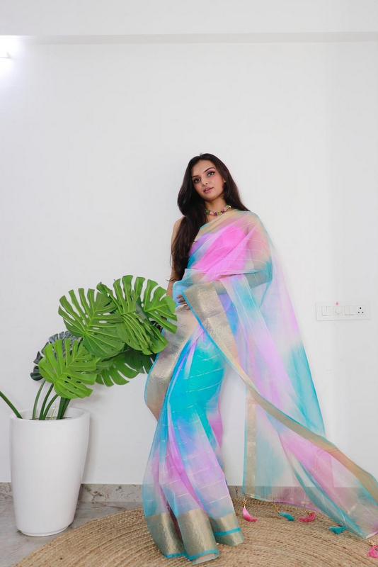 Organza Saree