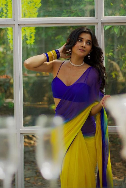 Georgette Saree